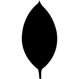 MongoDB